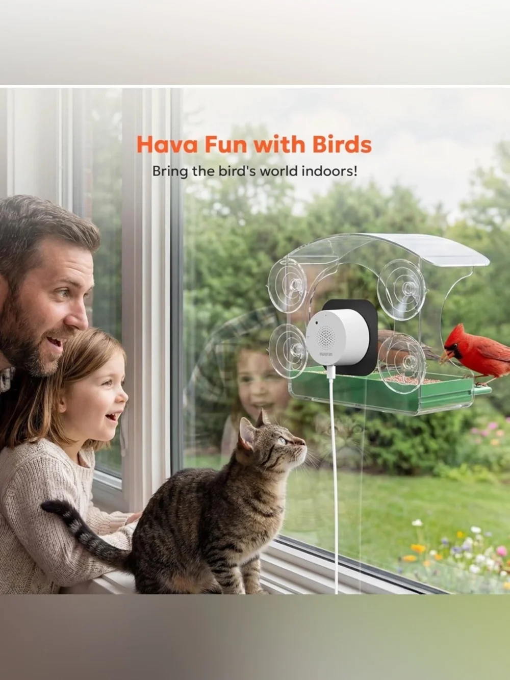 Window Bird Feeder with Camera, 2K 3MP Window Bird Friends Feeder
